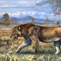sala-carnivori-quadro-leone